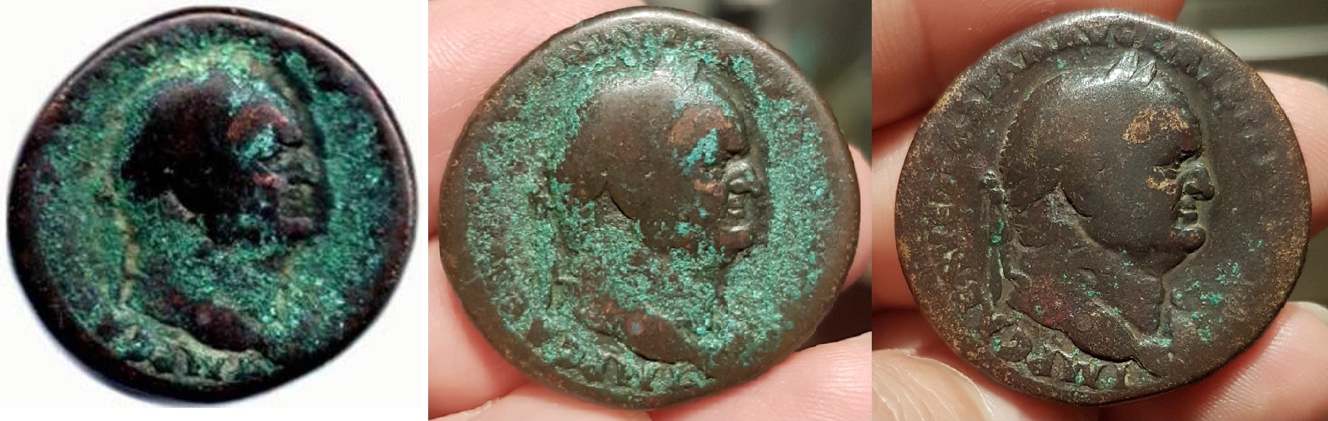 vesp10-r.jpg