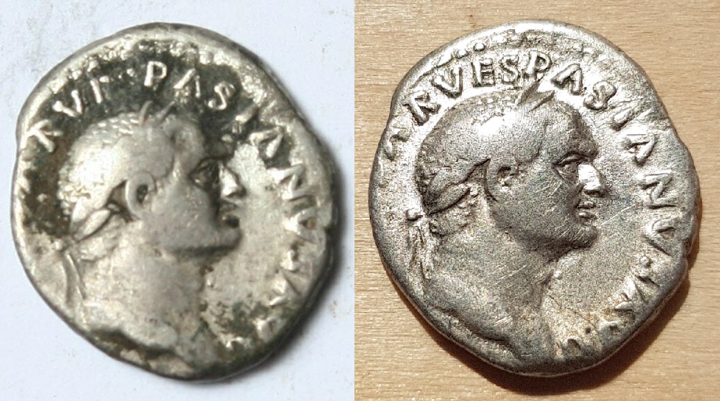 vesp21-o.jpg
