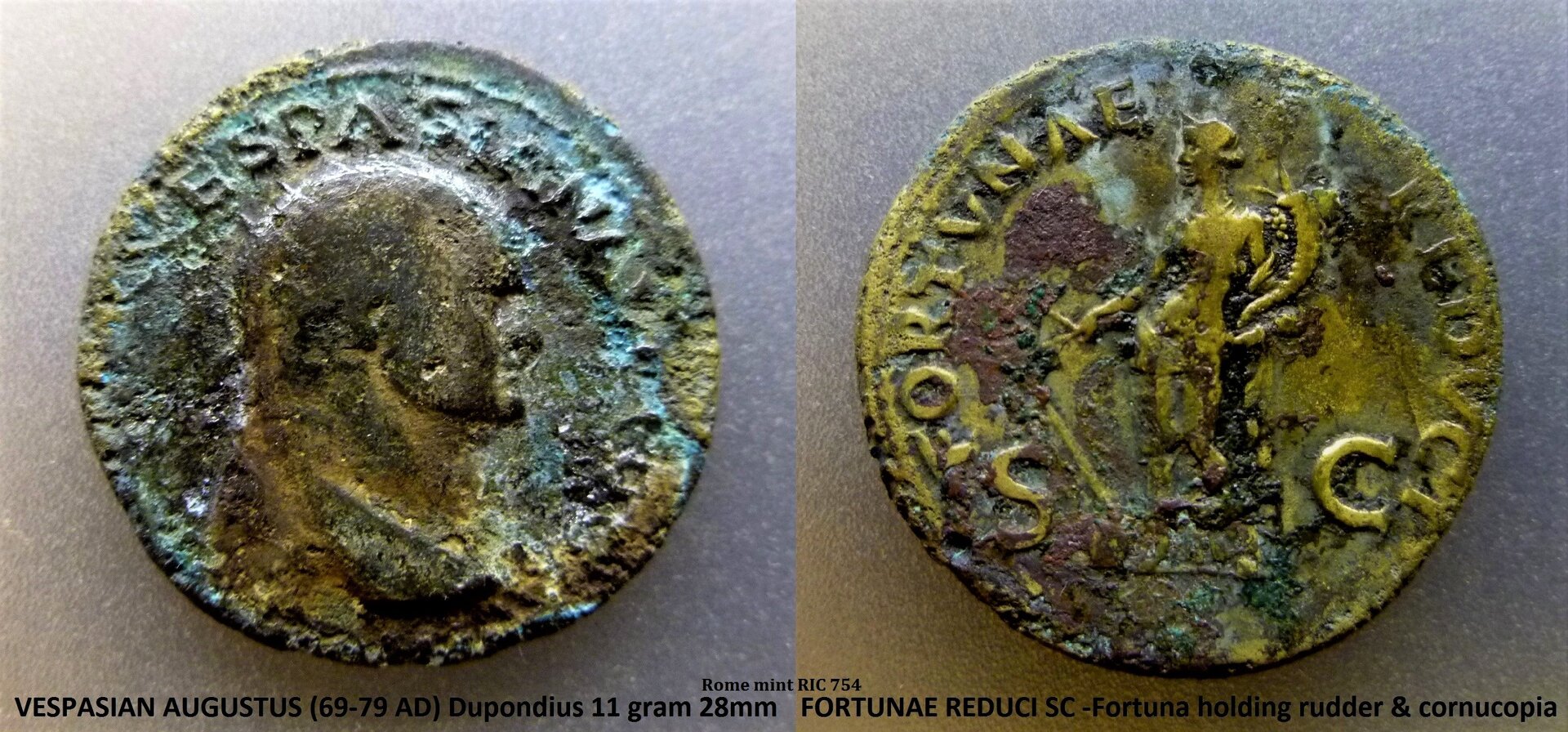 Vespa Fortuna (2).JPG