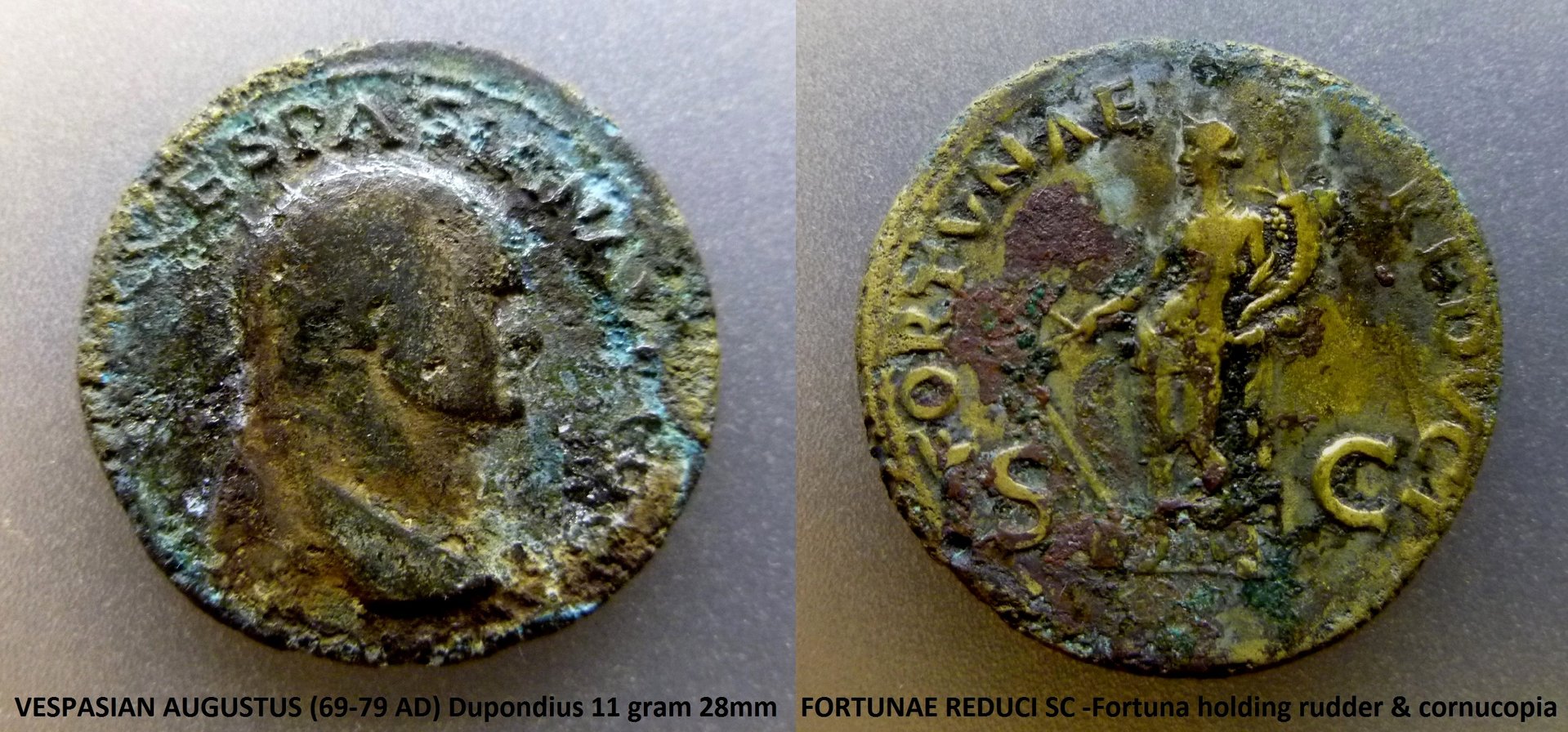 Vespa Fortuna.JPG