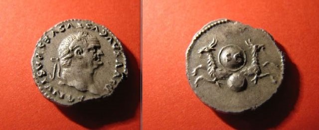 Vespasiam denar capricorn reverse.JPG