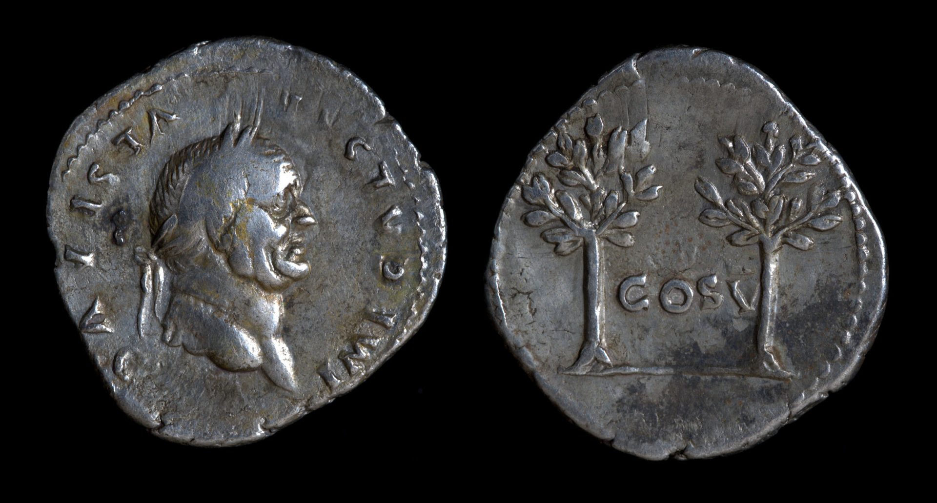 Vespasian 681 trees.jpg