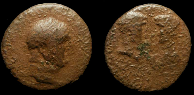Vespasian 7.jpg