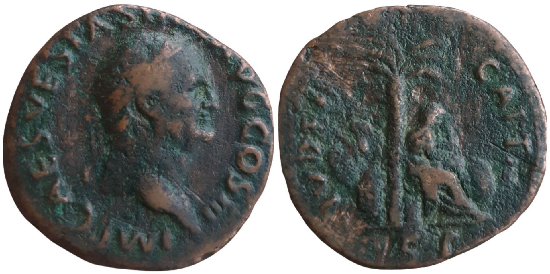 Vespasian AE As Judaea Capta Ken Bressett Mark Salton ED.jpg