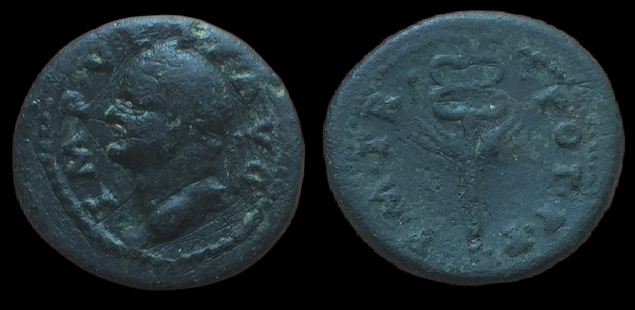 Vespasian, AE17, PM TR POT PP.png