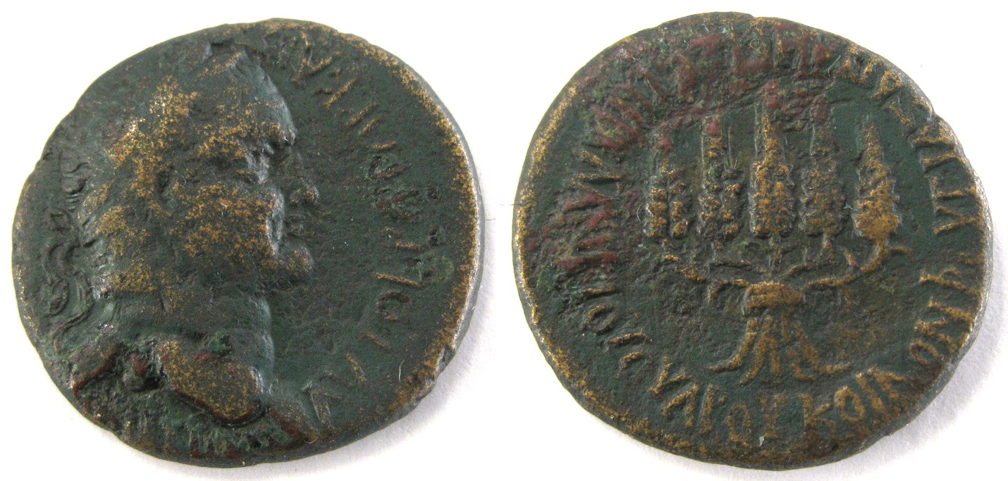 Vespasian Apamia AE.jpg