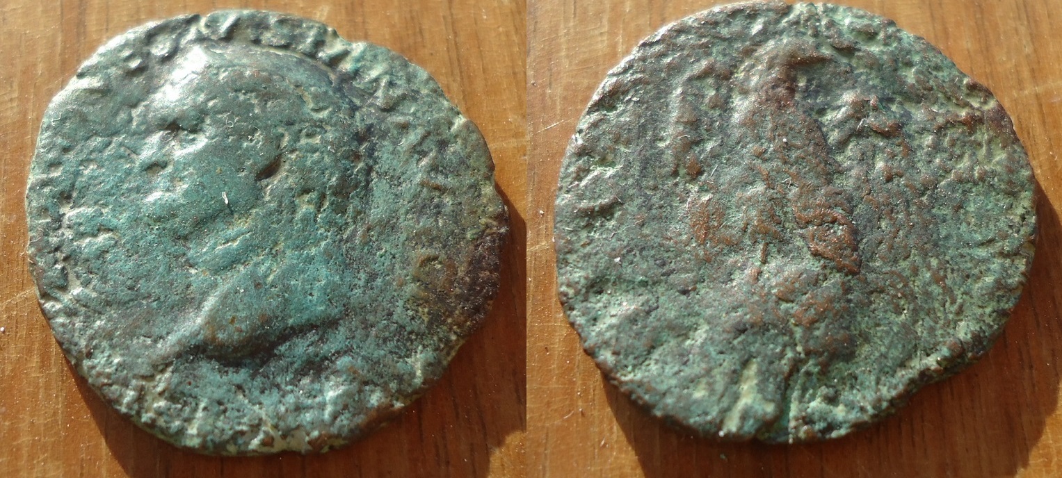 Vespasian As Eagle Nov 17 (1).JPG