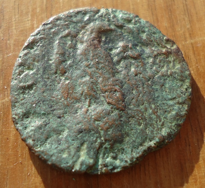 Vespasian As Eagle Nov 17 (4).JPG