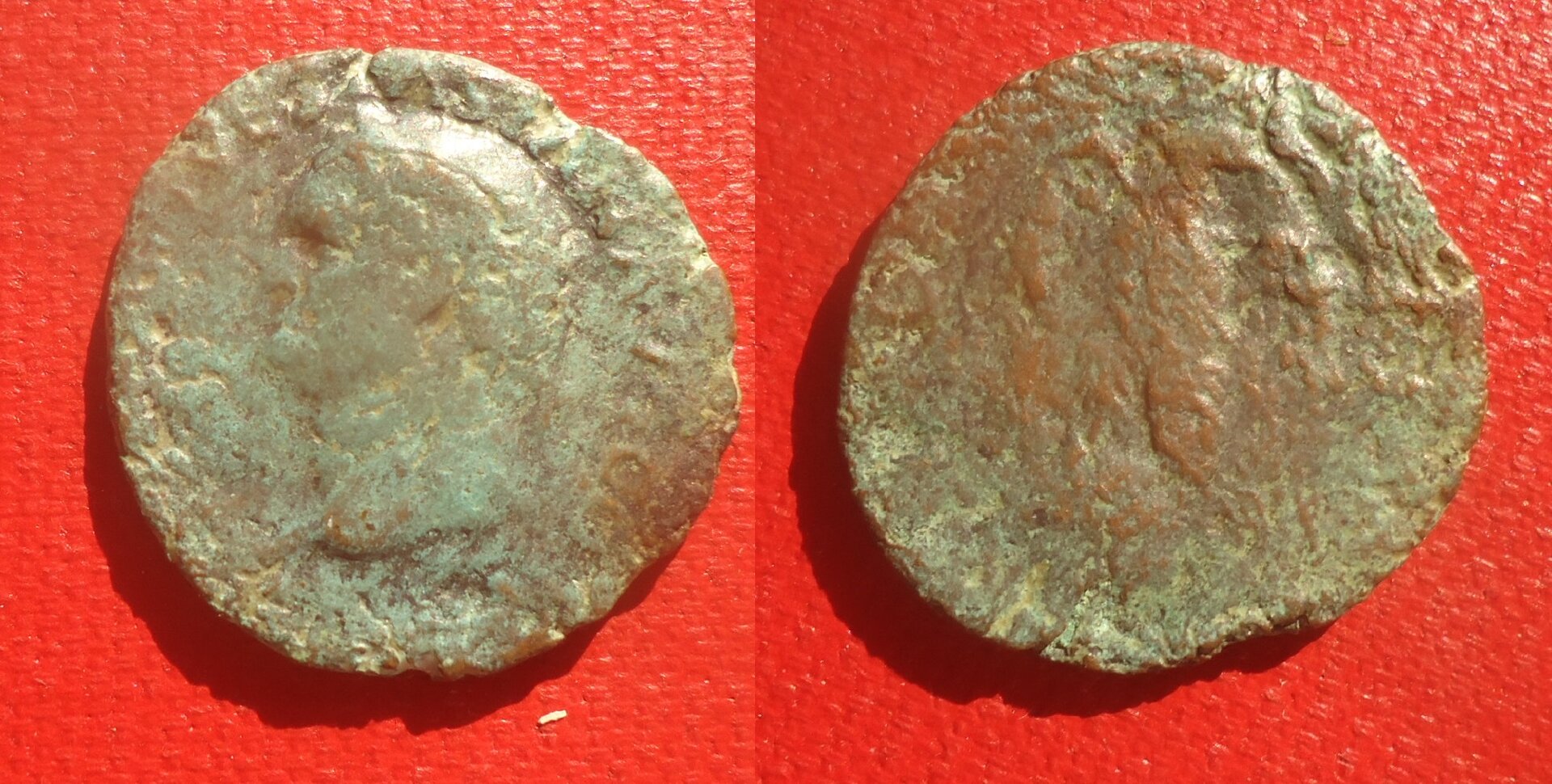 Vespasian - As eagle Nov 2017 (0).jpg