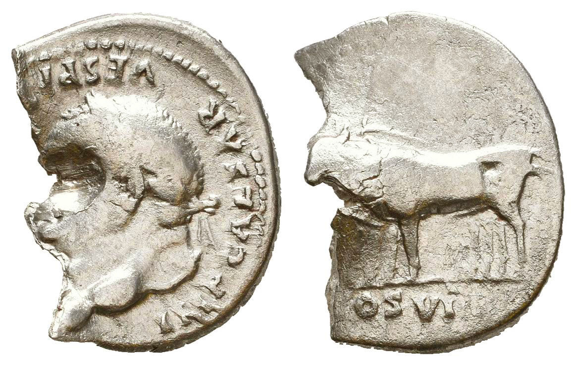 Vespasian Calf 2453159_1640614471.jpg