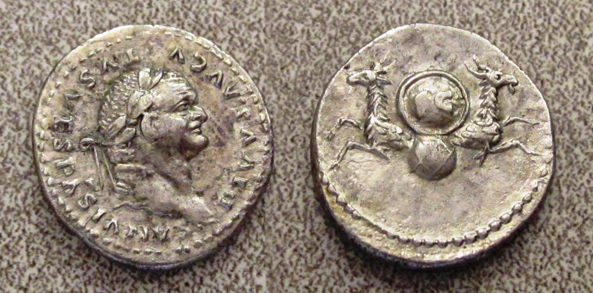 Vespasian Collage.jpg