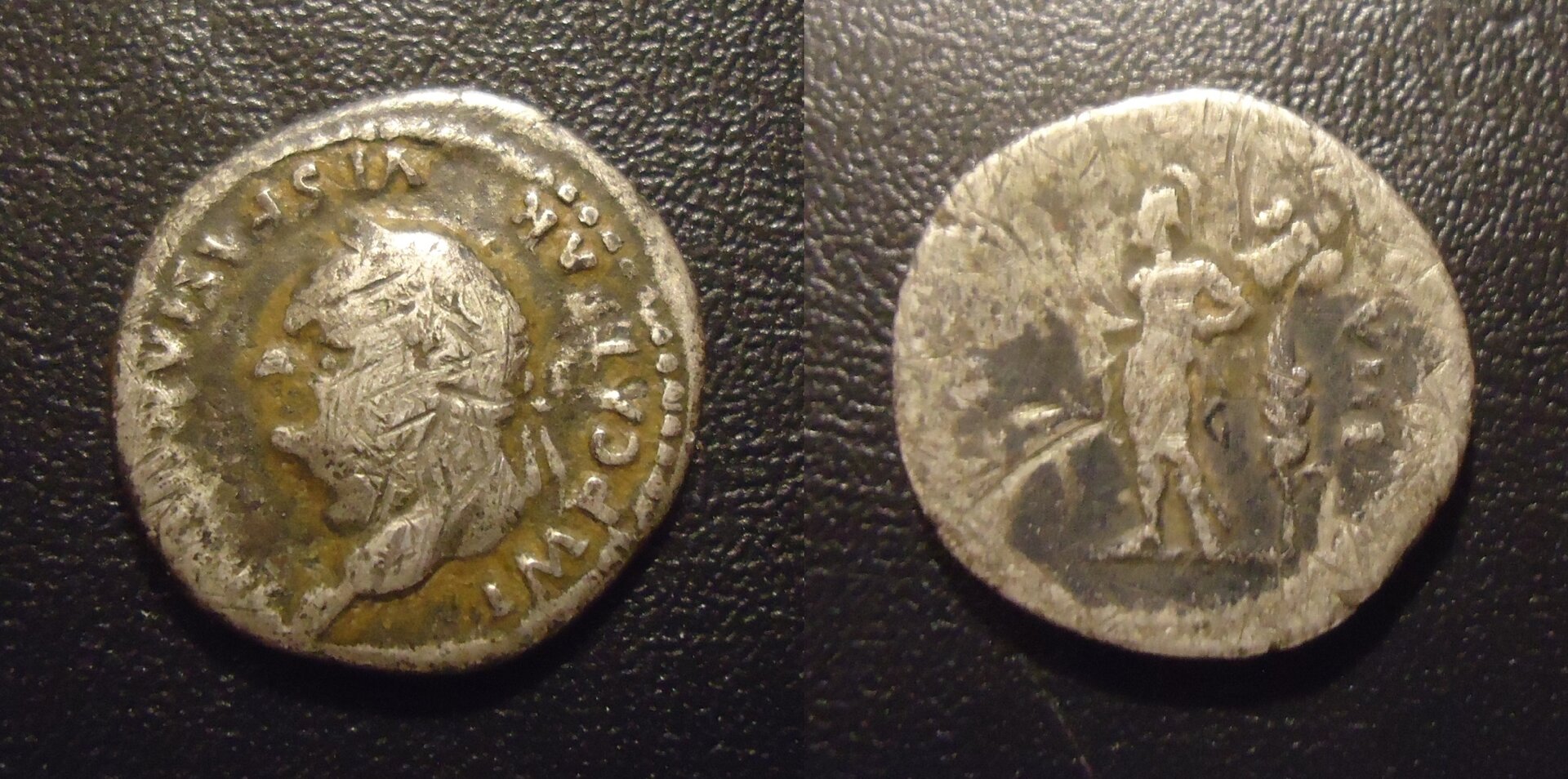 Vespasian - den Mars w Corn Feb 2017 (0).jpg