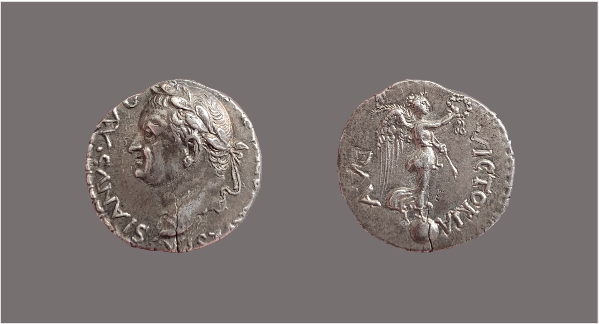 Vespasian denarius antioch.jpg