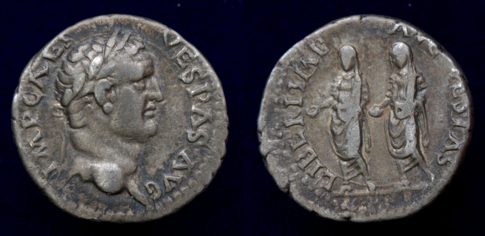 Vespasian Dynastic Ephesus.jpg
