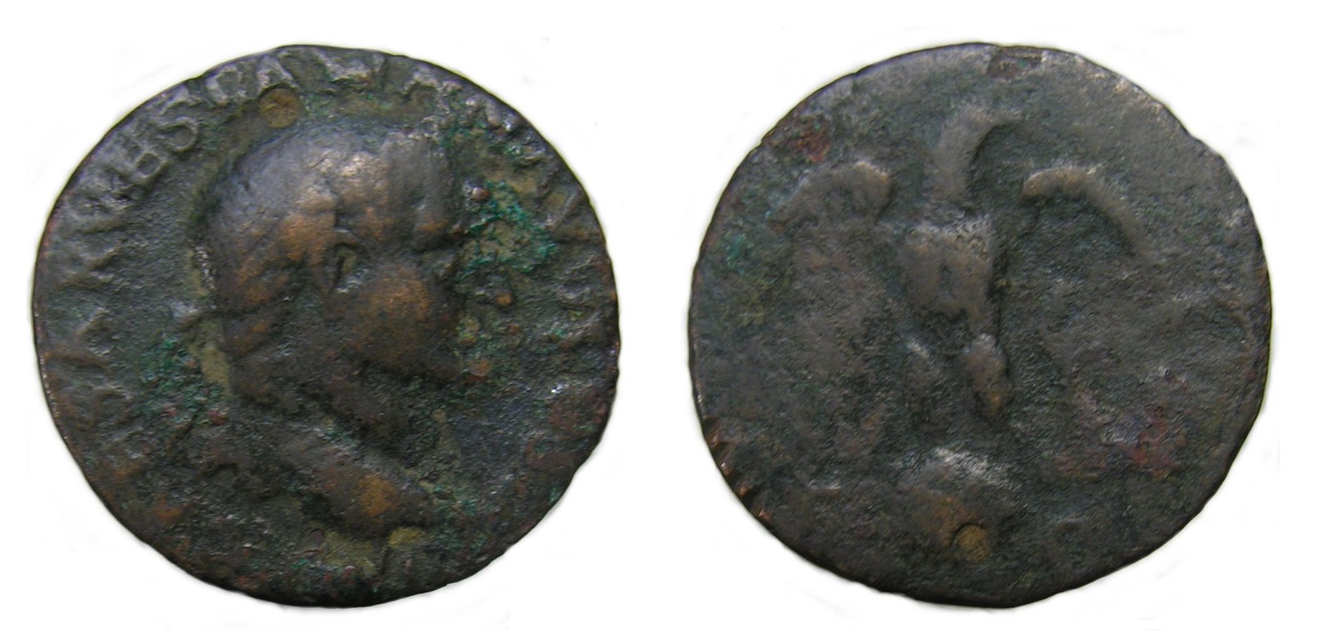 vespasian-eagle-merged.jpg