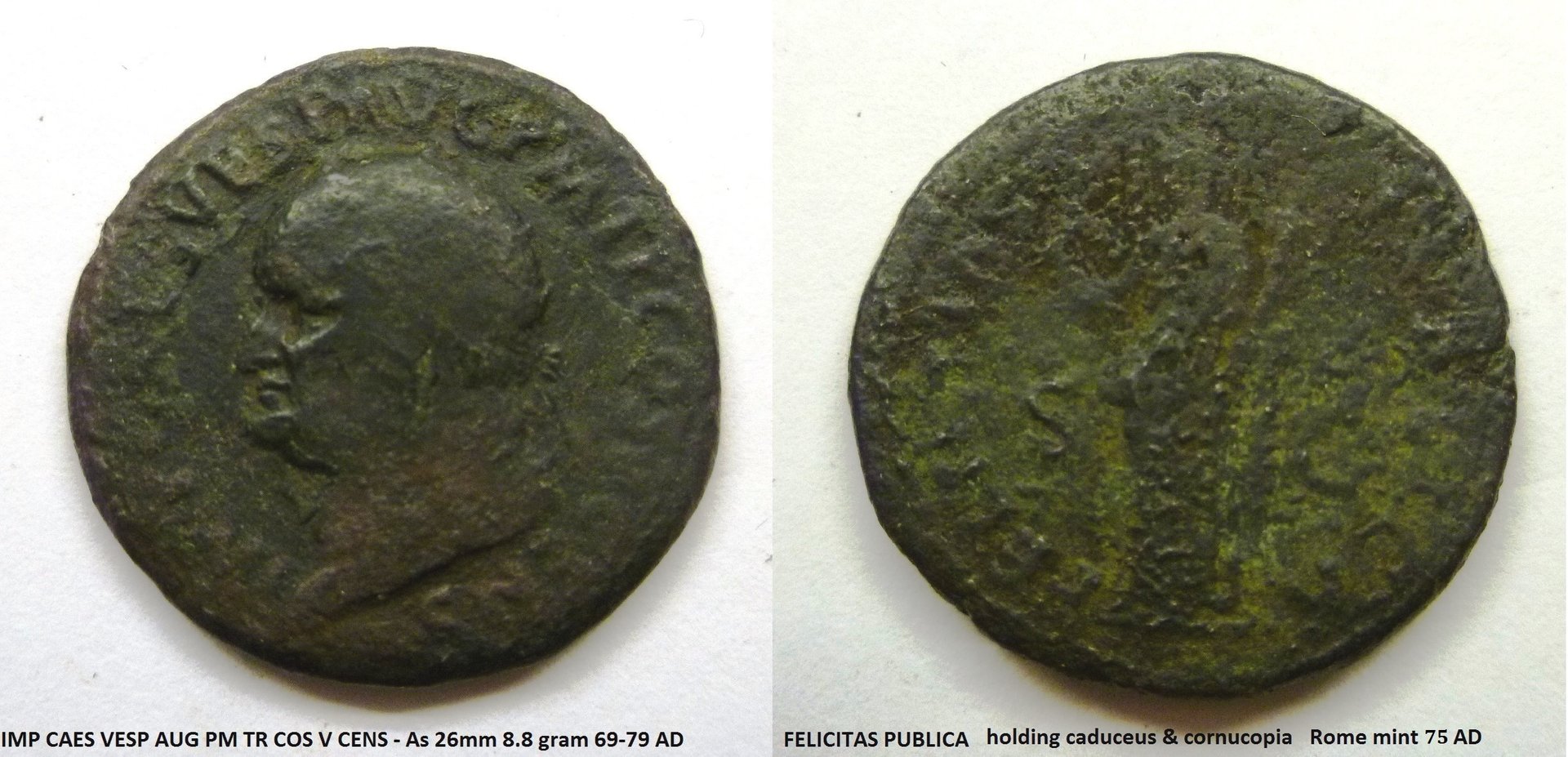 Vespasian Felicitas 2.JPG