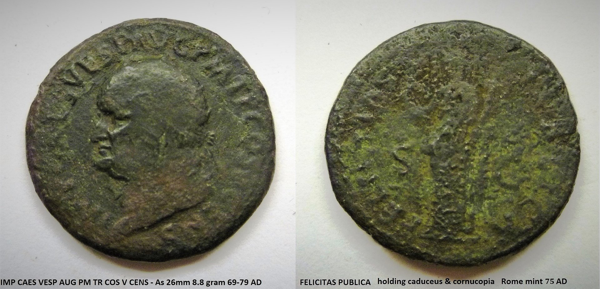 Vespasian Felicitas 2.JPG