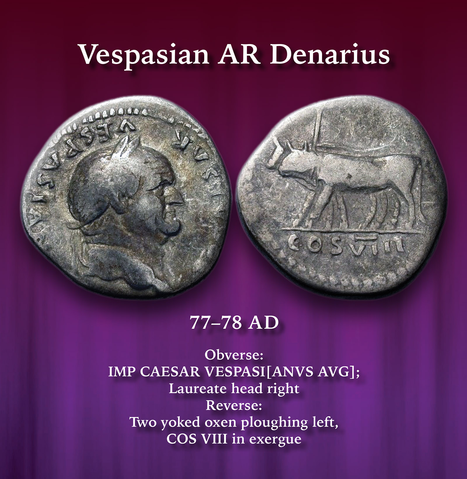 VESPASIAN.jpg