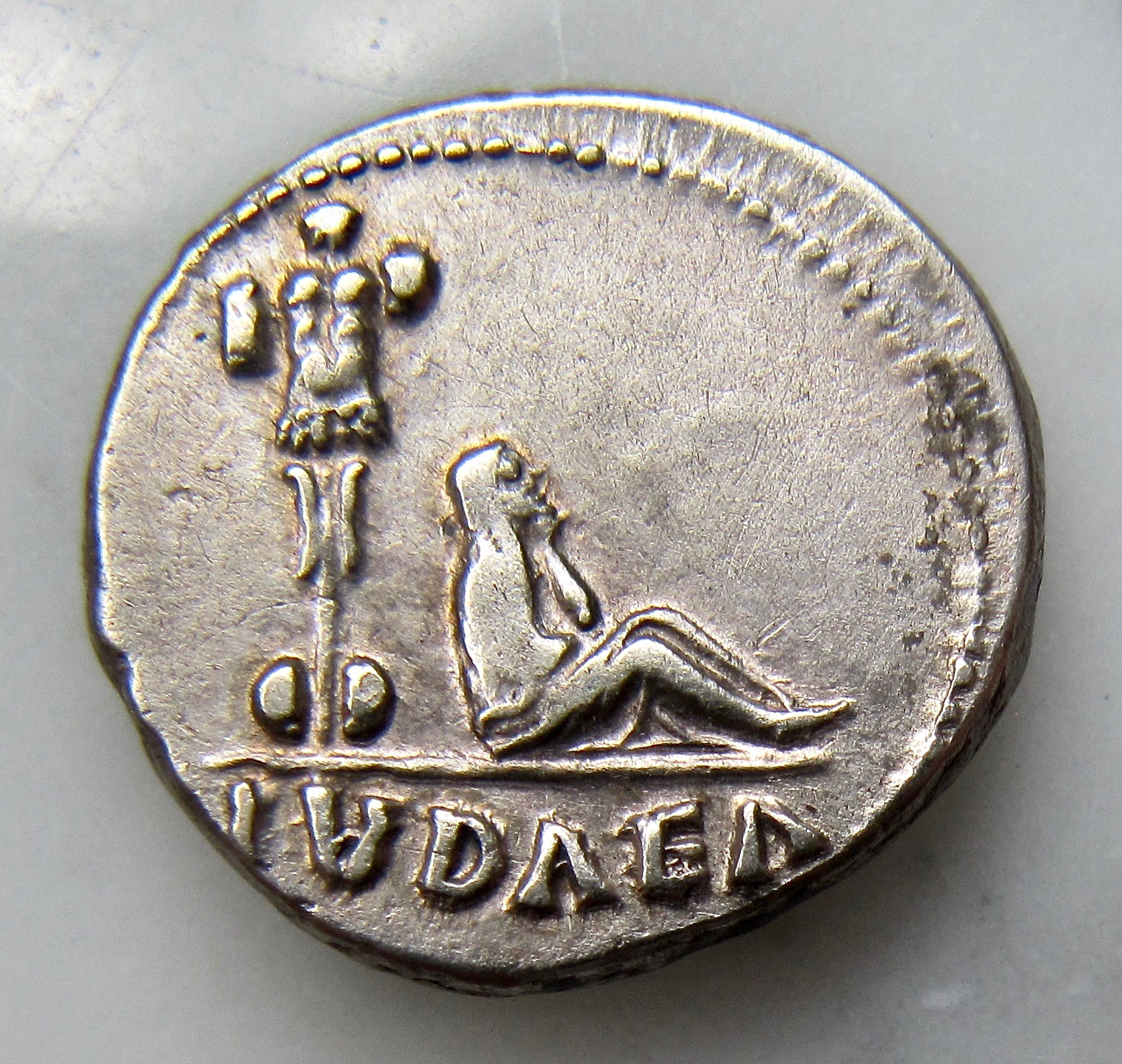 Vespasian Judaea Capta Denar REV1 N - 1.jpg