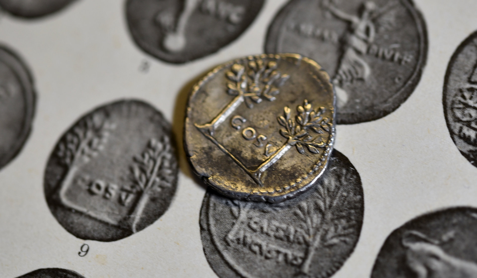 Vespasian Laffranchi.jpg