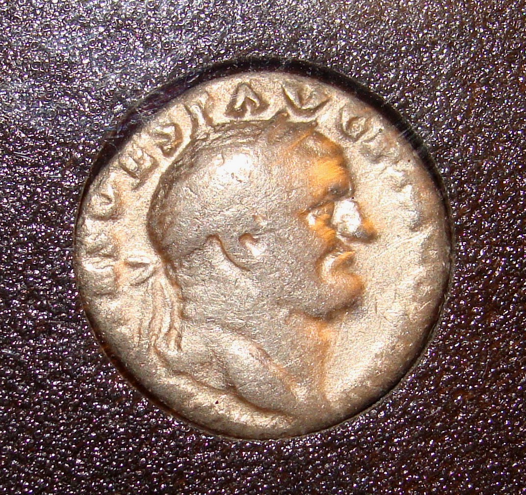Vespasian OBV.JPG