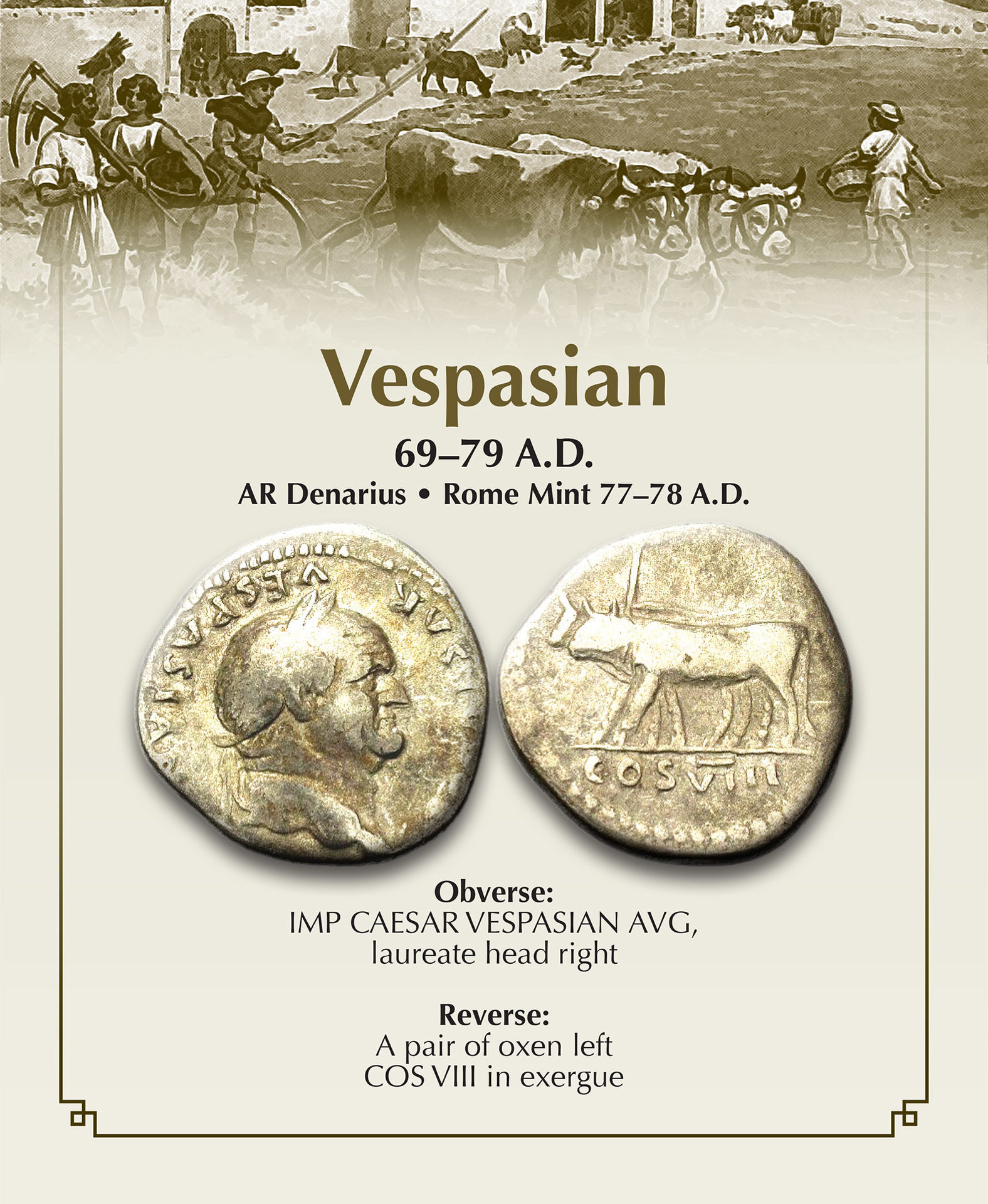 VESPASIAN OXEN.jpg