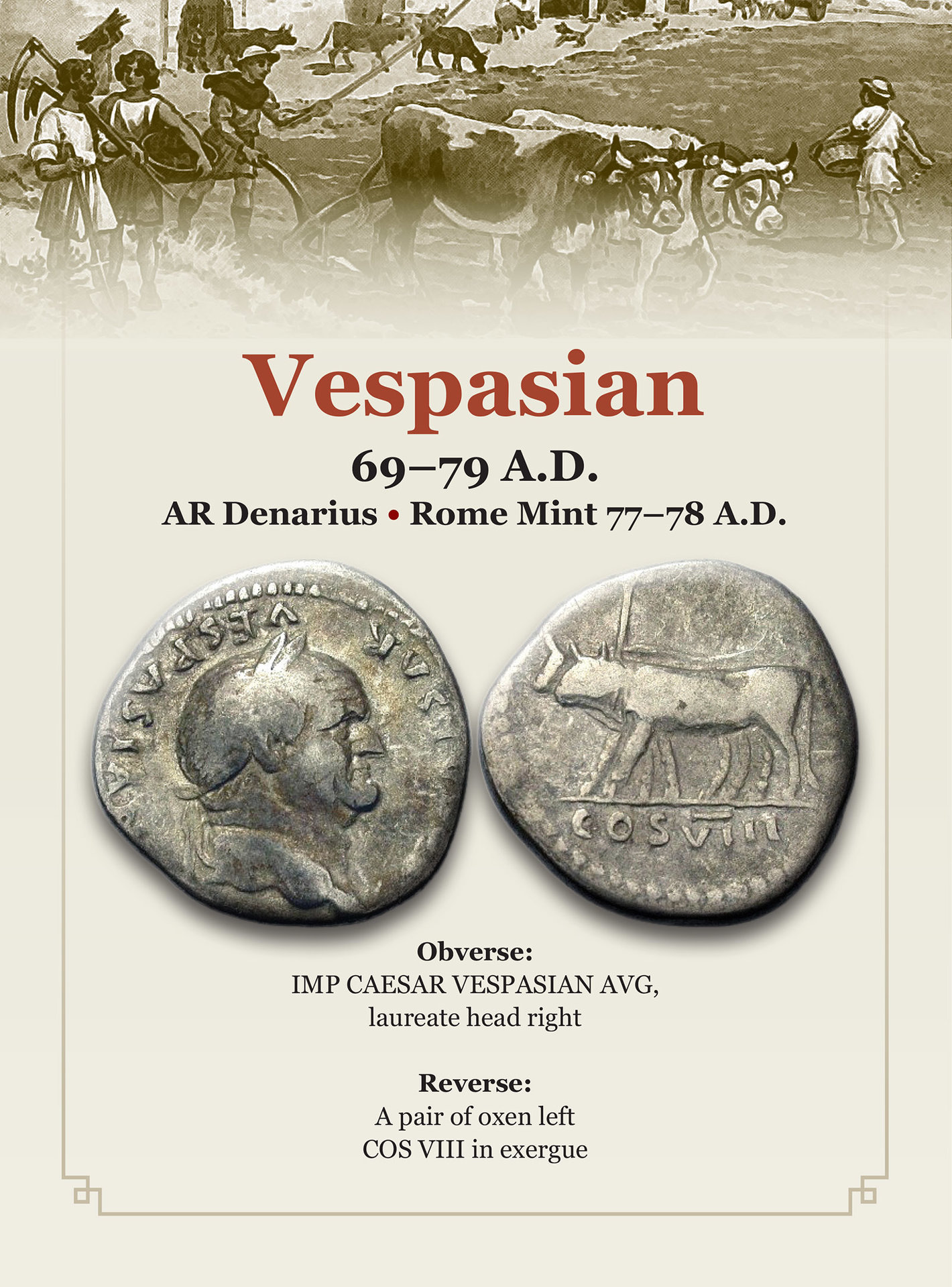 VESPASIAN OXEN.jpg
