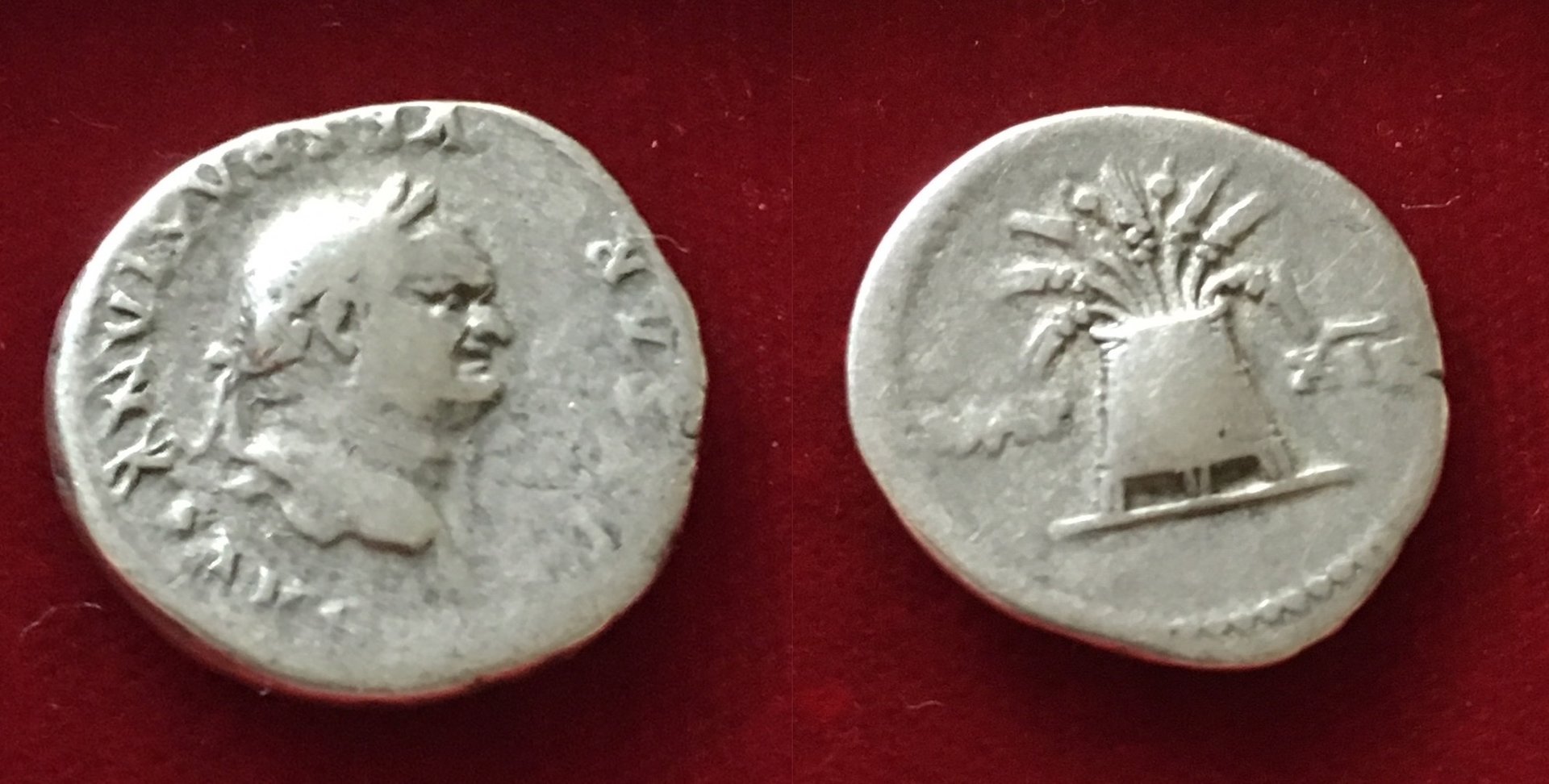 Vespasian RIC 980 new.jpg