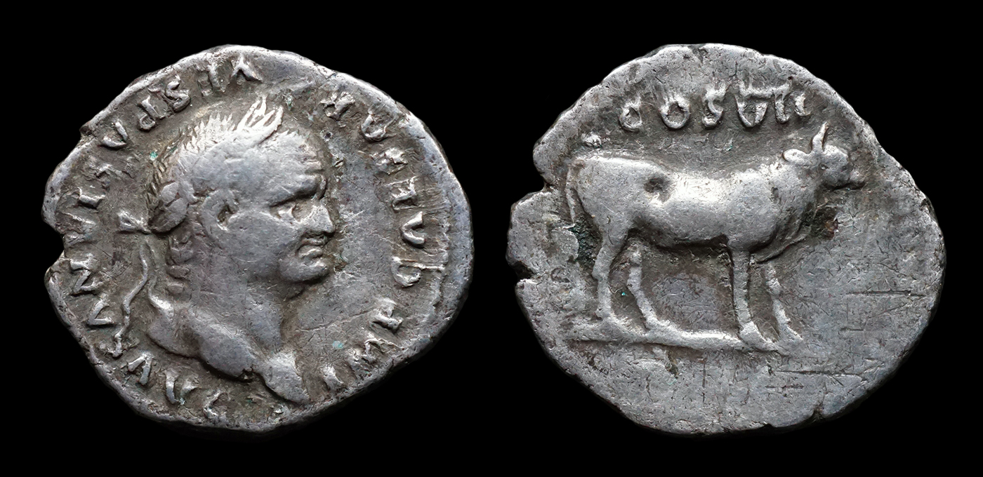 Vespasian_Bull.jpg
