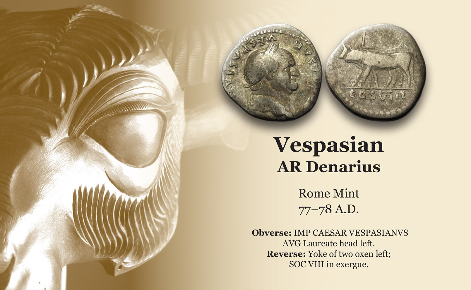 vespasian_oxen.jpg