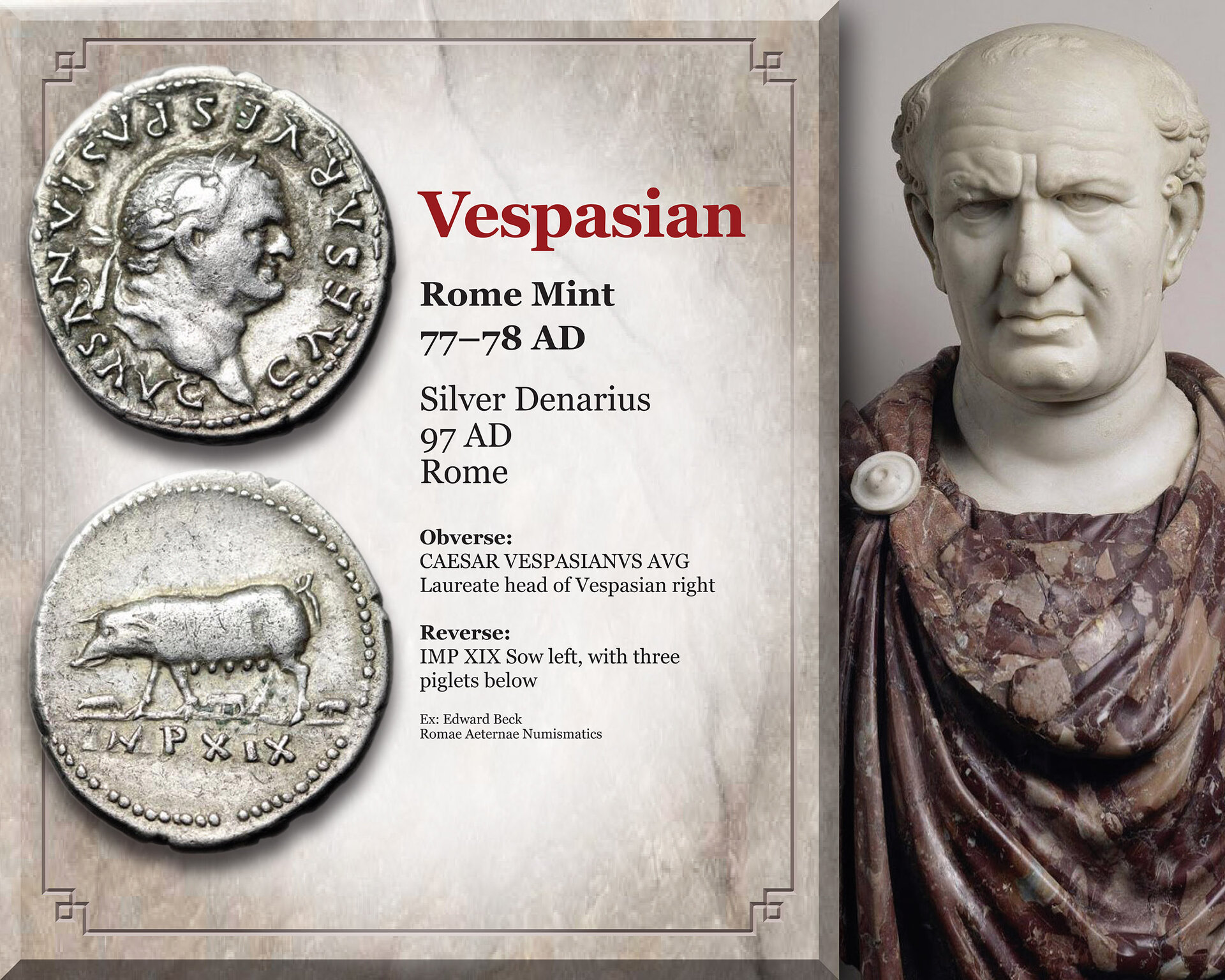 VESPASIAN_PIGS.jpg