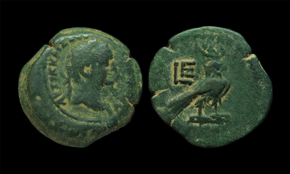 VespasianObolHawk-FakePatina.jpg