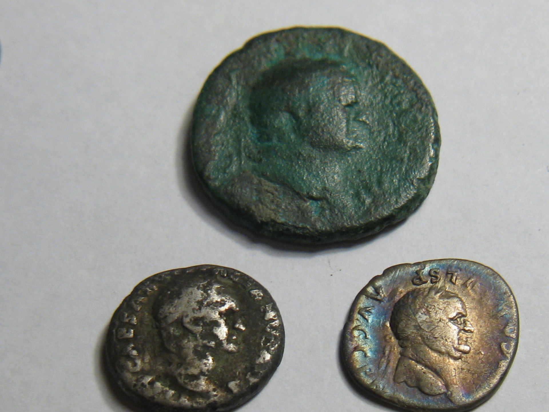 Vespasians 001.JPG
