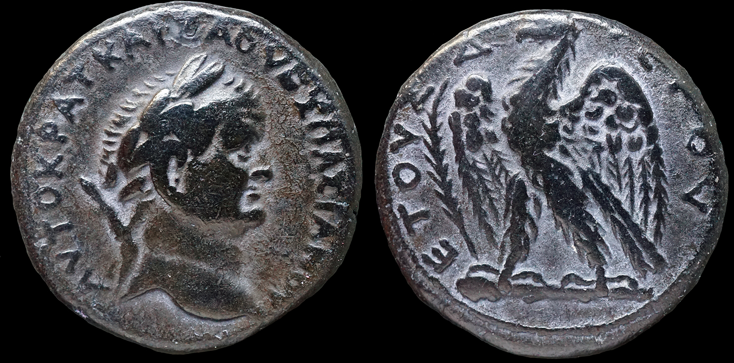 VespasianTetra.jpg