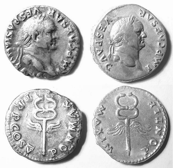 VespCaduceusWeb.jpg
