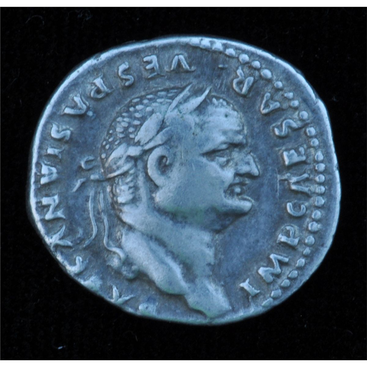 vespian b.jpg
