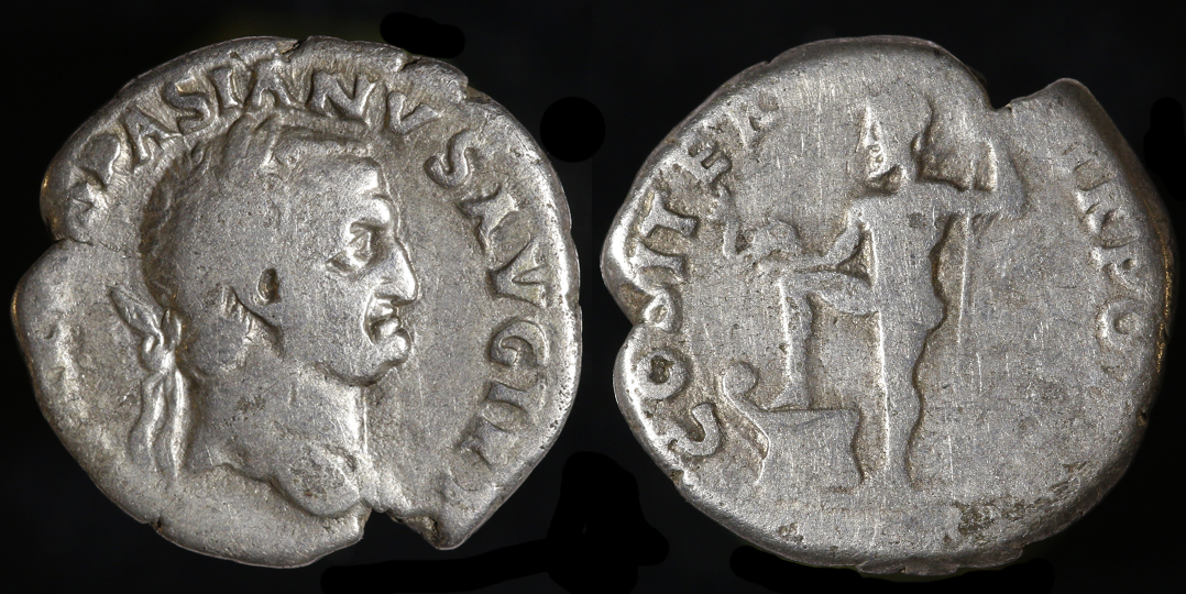 VespNepDen.jpg