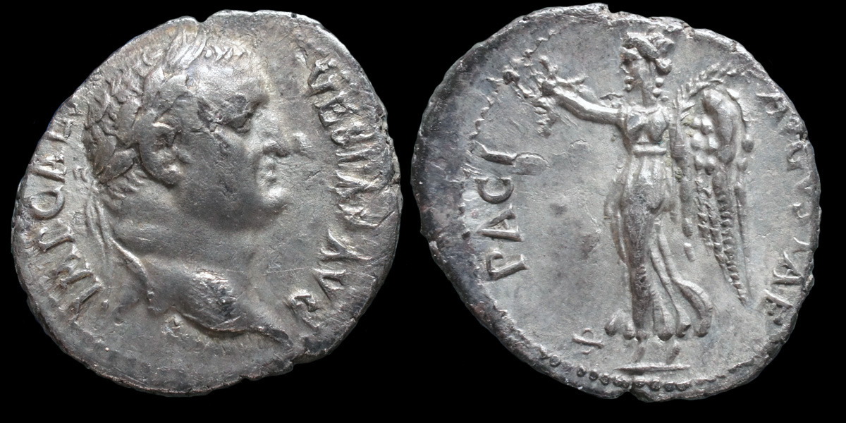 VespPaci.jpg