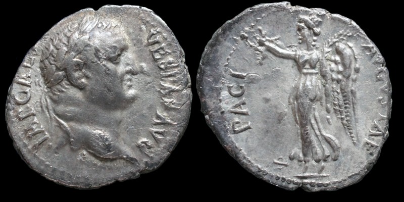VespPaci.jpg