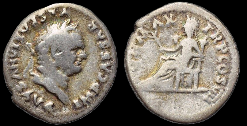 VespPaxVIIRIC852.jpg