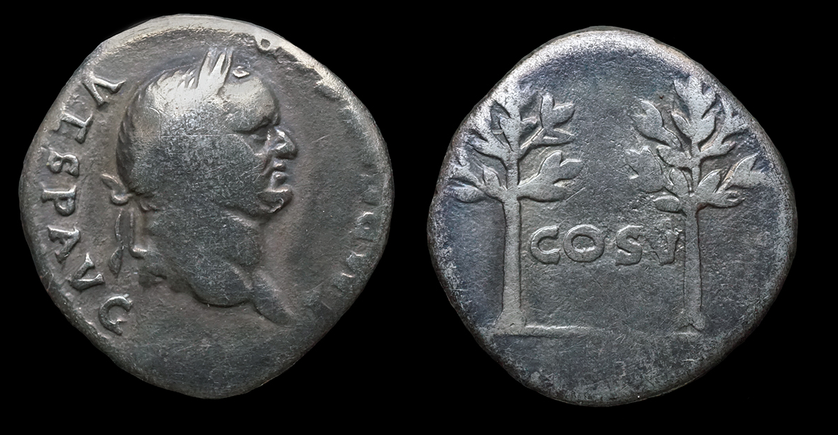 VespRIC681.jpg