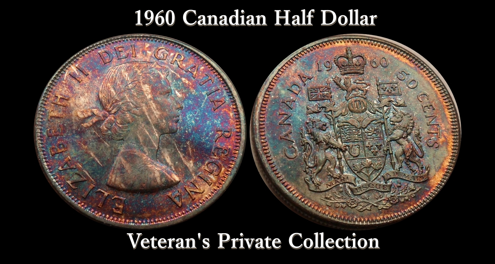 vet coin 1 complete.jpg