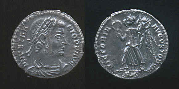 vetrsiliqua.jpg