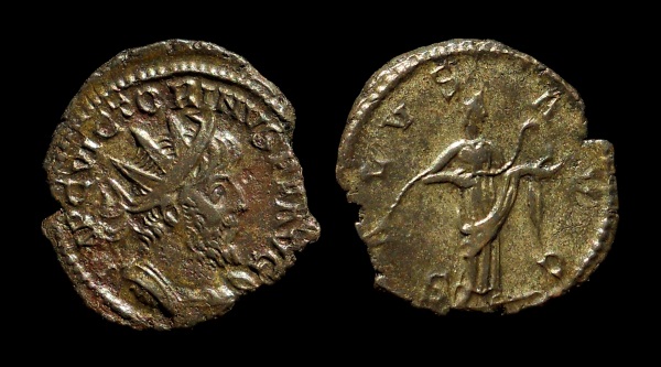 vict salus 6.jpg