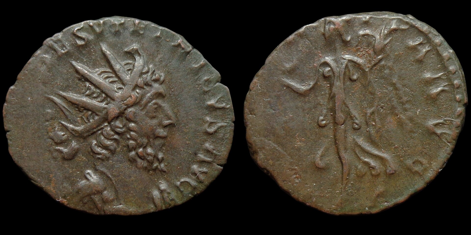 VICTORIA AVG (Esv).jpg