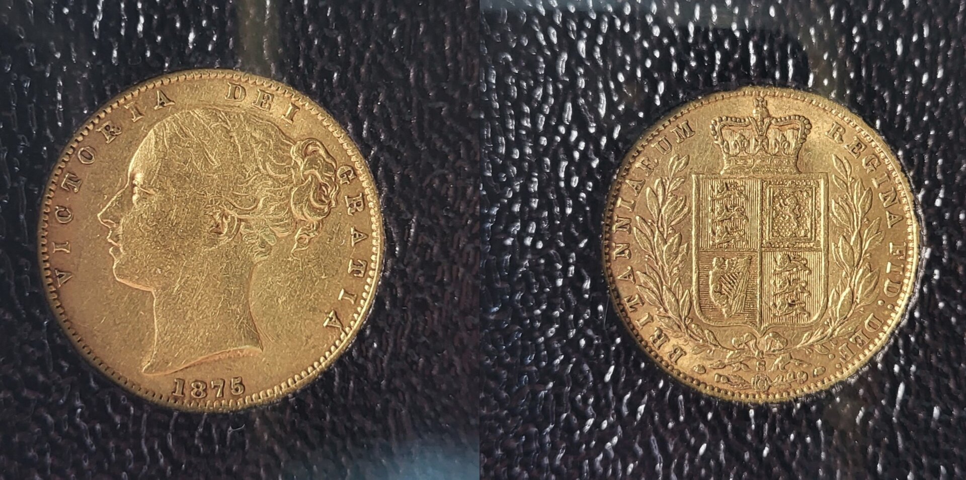 Victoria Shield Back.jpg