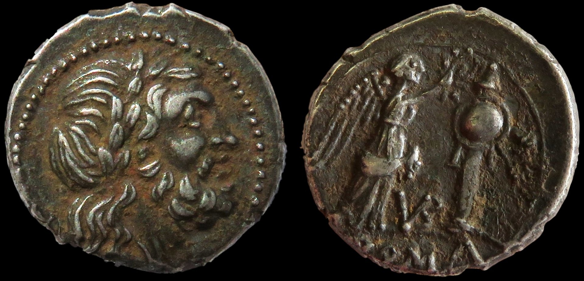 Victoriatus (2).jpeg