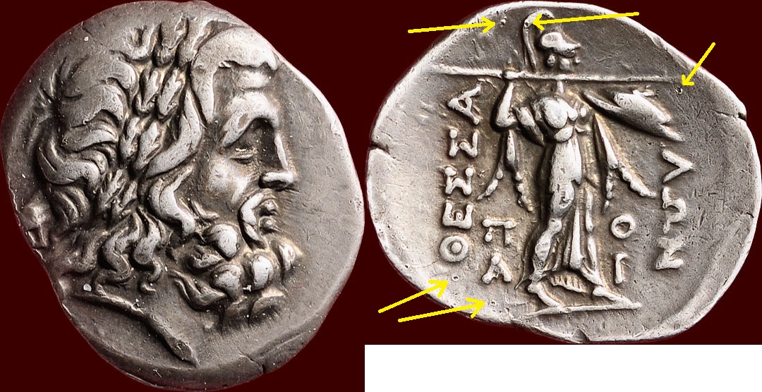 victoriatus.jpg