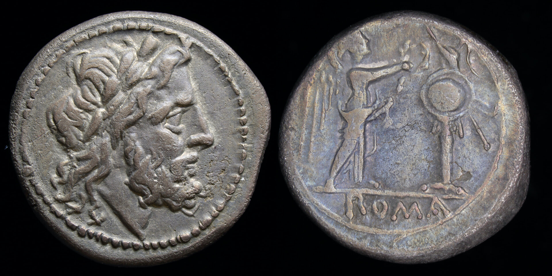 victoriatus.jpg