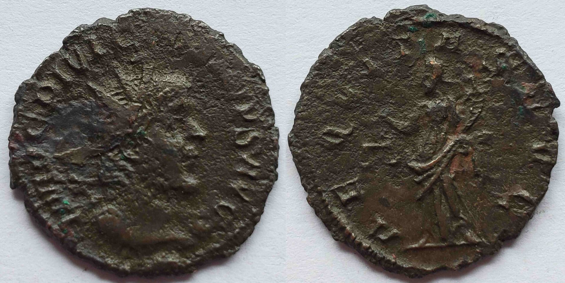 Victorinus marius portrait_compress64.jpg